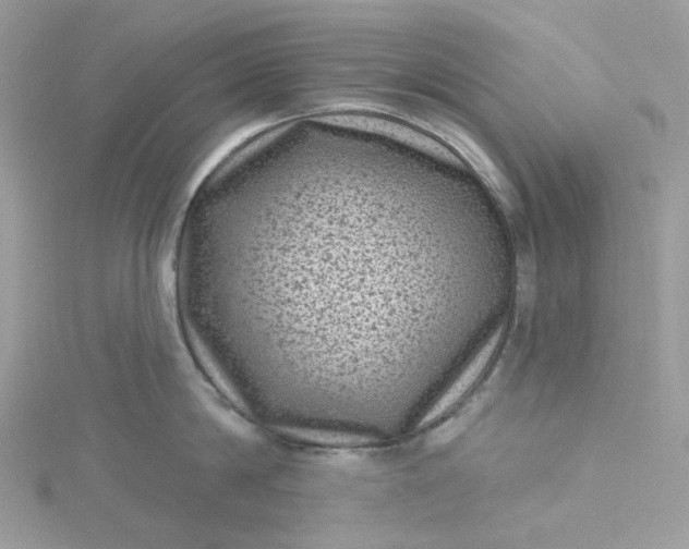 X0000115380814200911171434