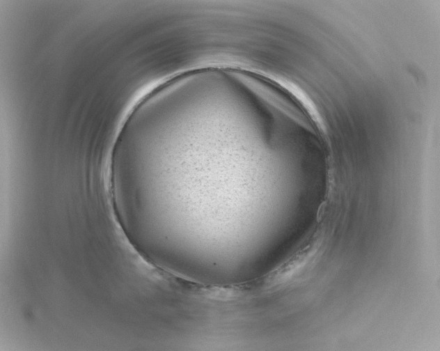 X0000115380815200911171434