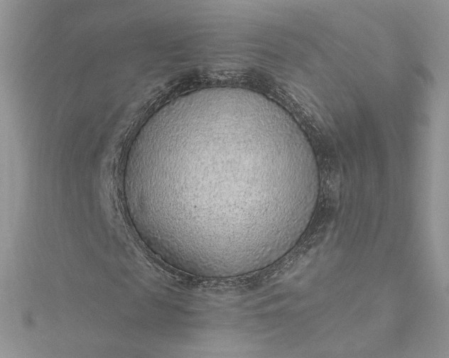 X0000115380817200911171433