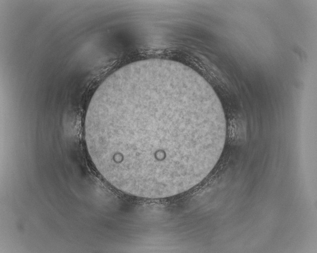 X0000115380820200911171433