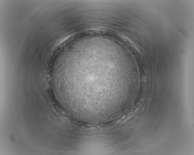 X0000115380822200911171433