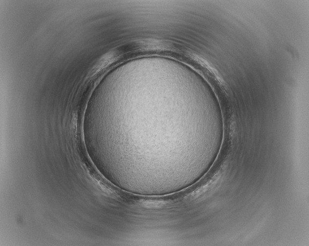 X0000115380825200911171433