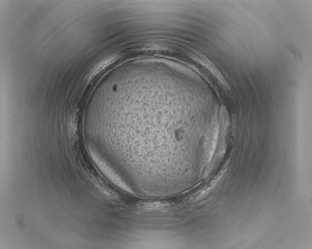 X0000115380826200911171433