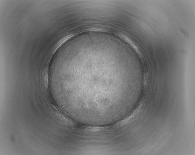 X0000115380829200911171433