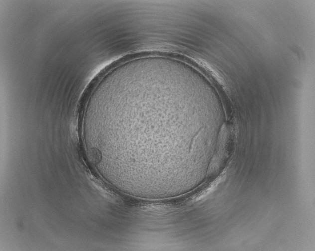 X0000115380830200911171433