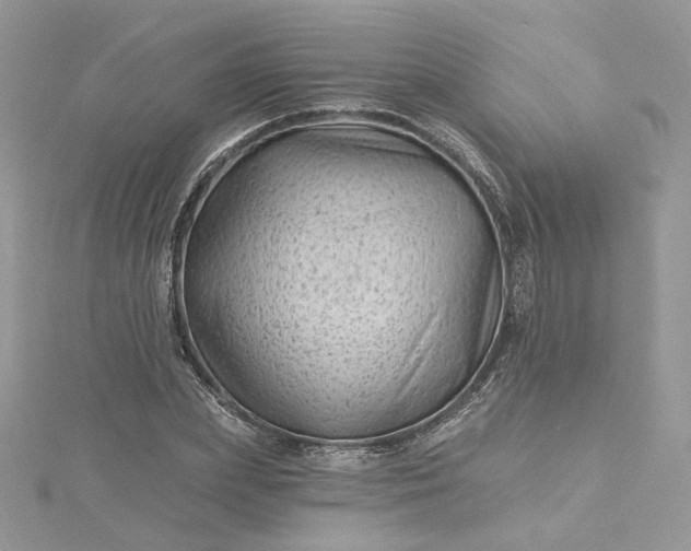 X0000115380831200911171433