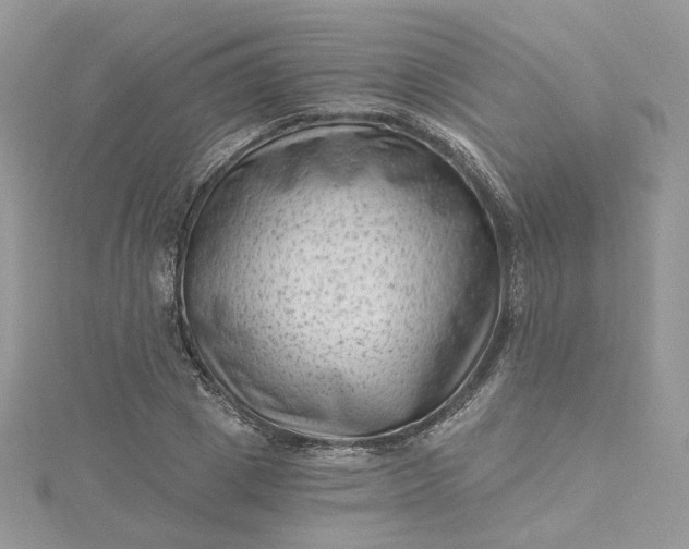 X0000115380833200911171433