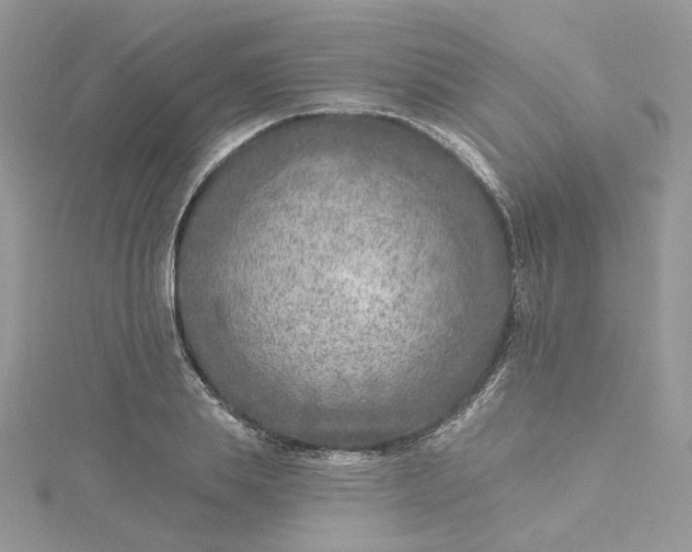 X0000115380839200911171433