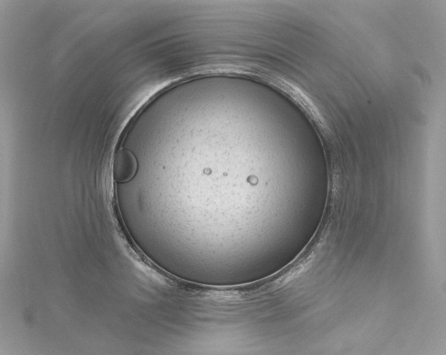 X0000115380844200911171434