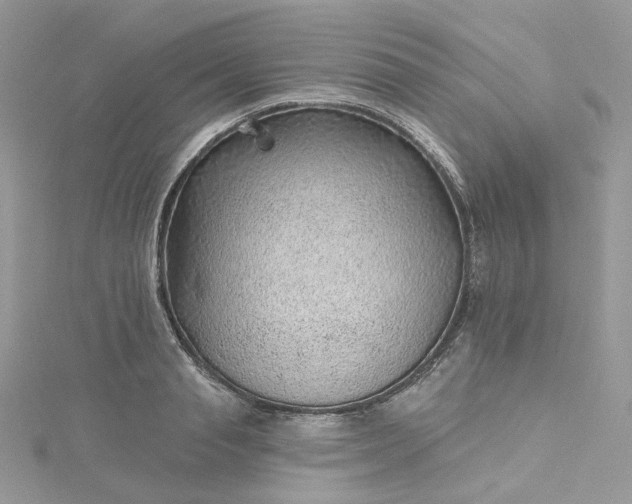 X0000115380845200911171434