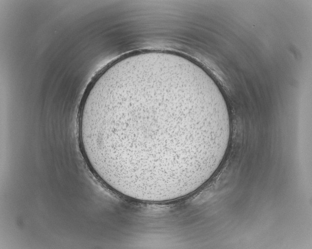 X0000115380848200911171434