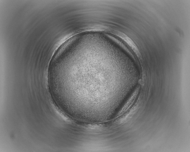 X0000115380850200911171434