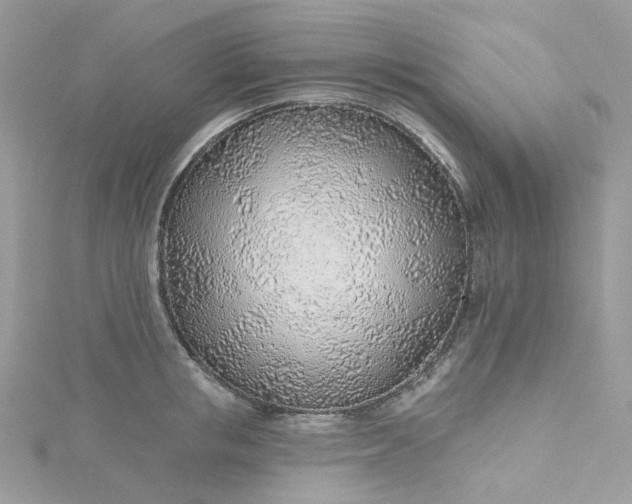 X0000115380853200911171434