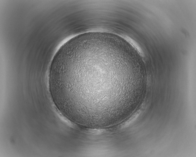 X0000115380854200911171434