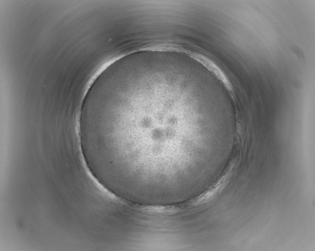 X0000115380855200911171434