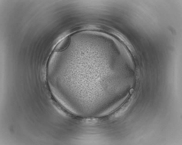 X0000115380858200911171434