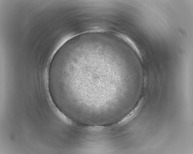 X0000115380859200911171434