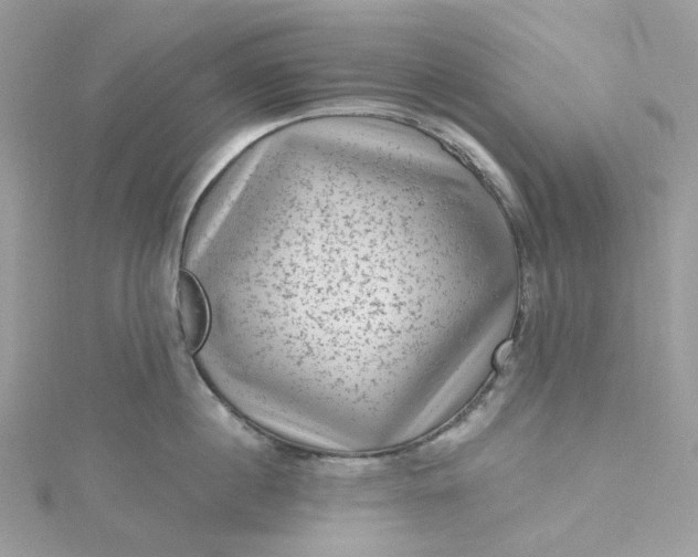 X0000115380860200911171434