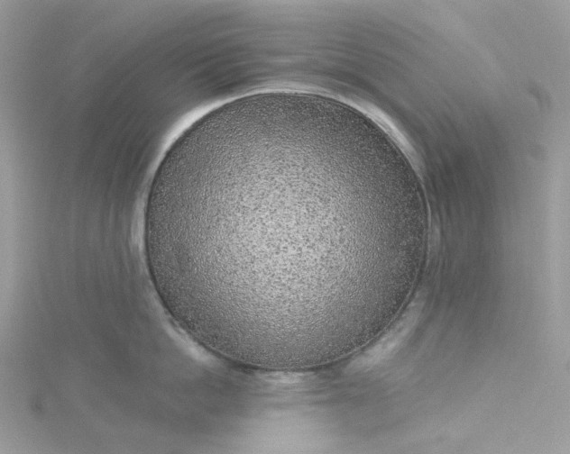 X0000115380862200911171434