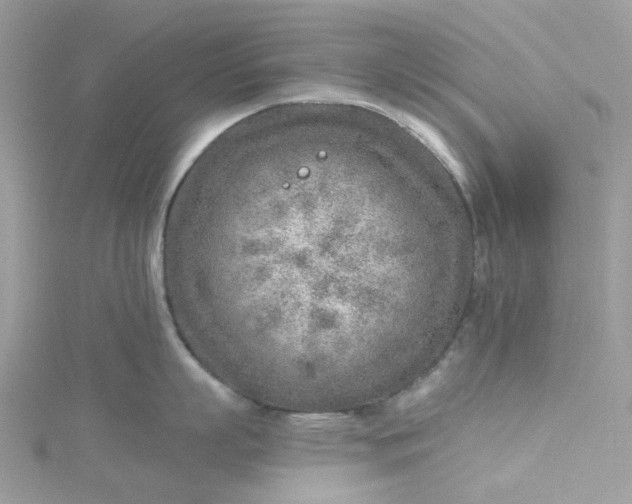 X0000115380863200911171434