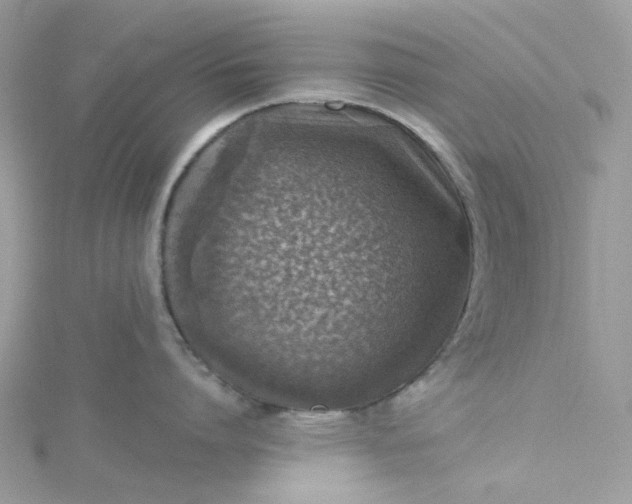 X0000115380864200911171434