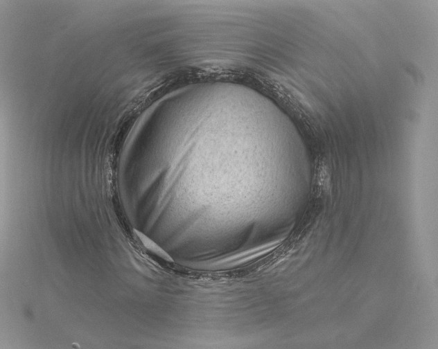 X0000115380868200911171433