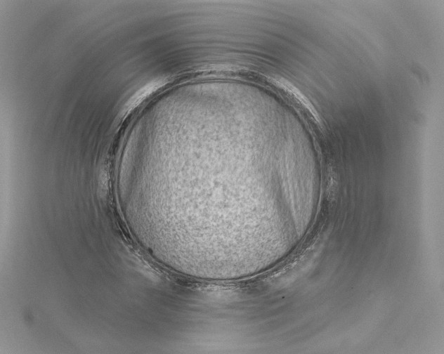 X0000115380874200911171433