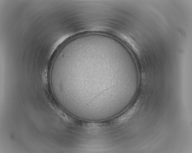 X0000115380875200911171433