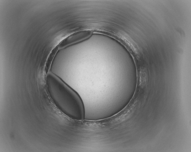 X0000115380876200911171433