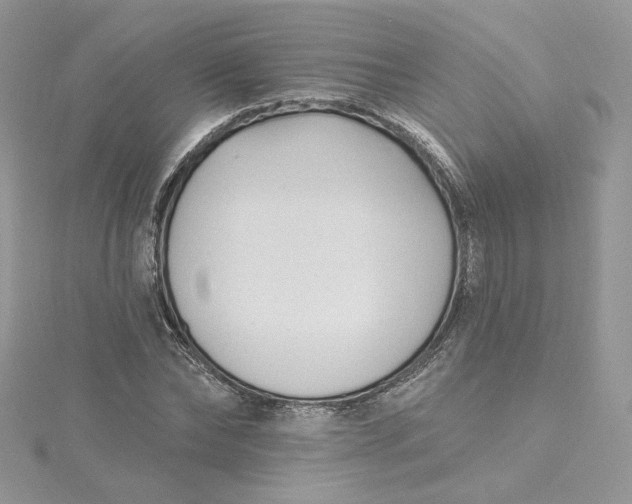 X0000115380878200911171433