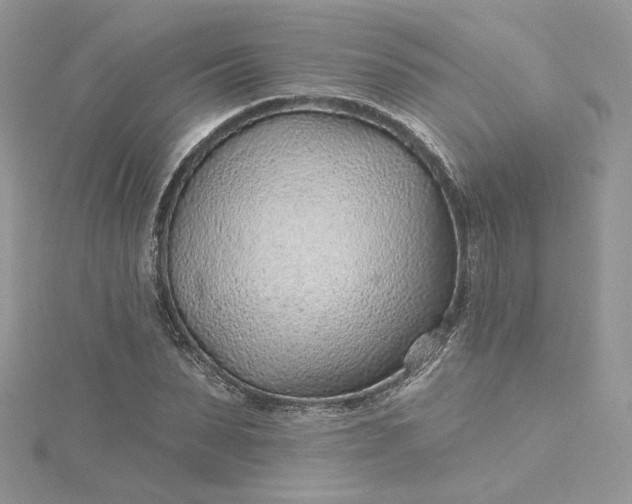X0000115380879200911171433