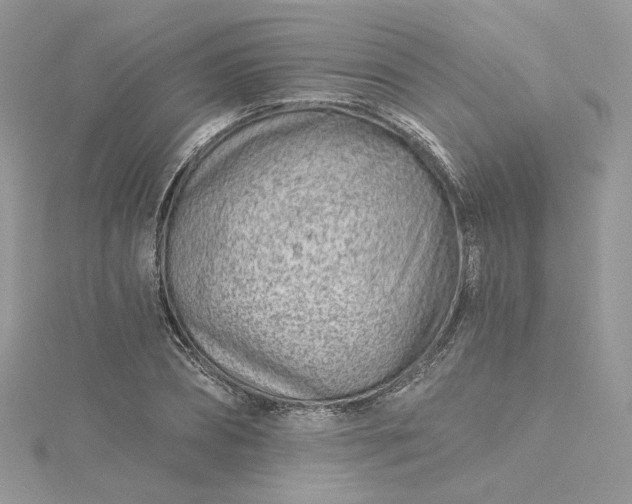 X0000115380882200911171433