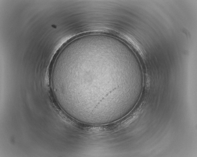 X0000115380883200911171433