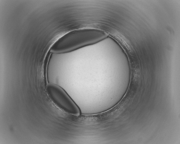 X0000115380884200911171433