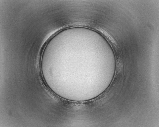 X0000115380886200911171433