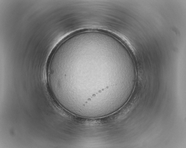 X0000115380887200911171433