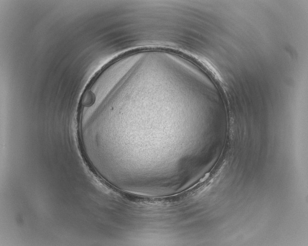 X0000115380895200911171433