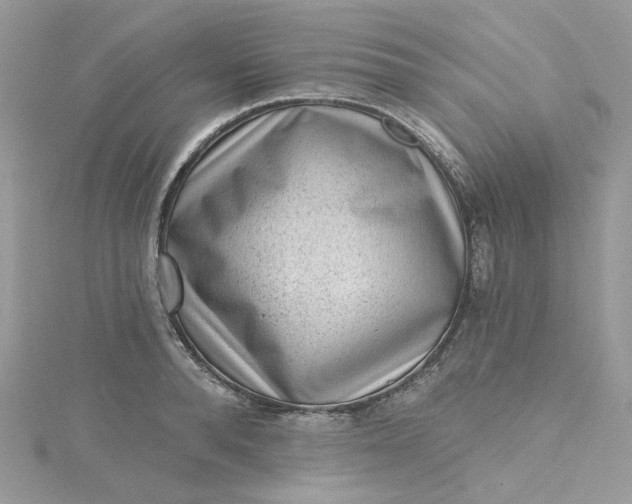 X0000115380896200911171433