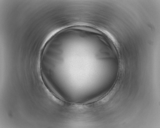 X0000115380910200911171432