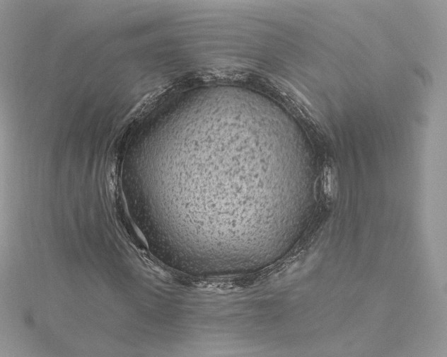 X0000115380915200911171432