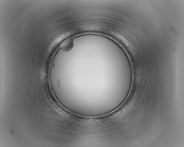 X0000115380922200911171432