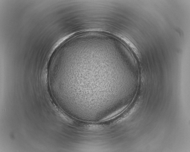 X0000115380933200911171432