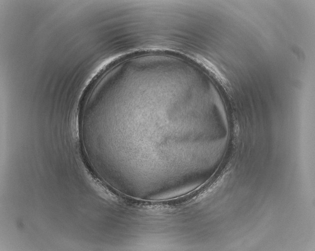 X0000115380934200911171432