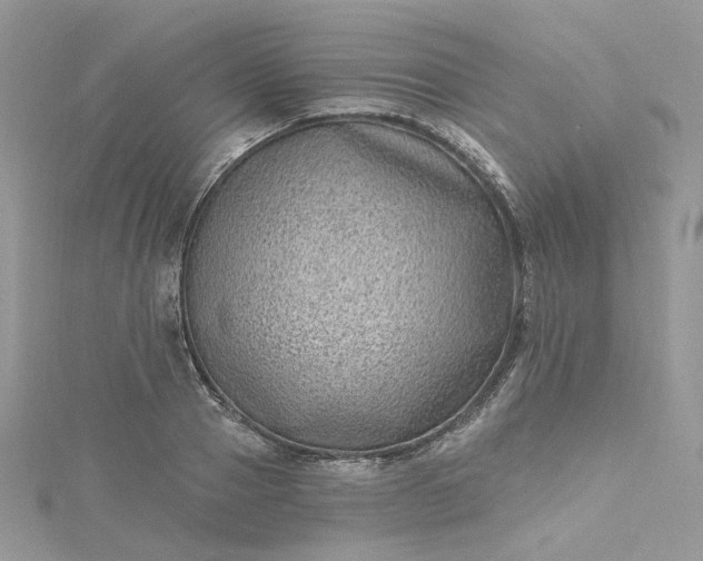 X0000115380937200911171432