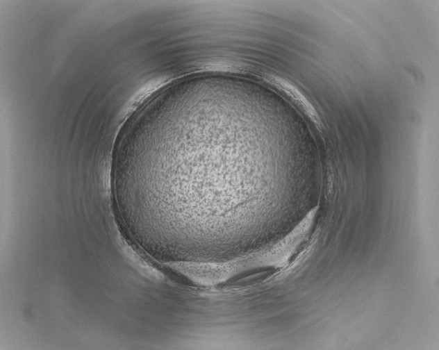 X0000115380938200911171432