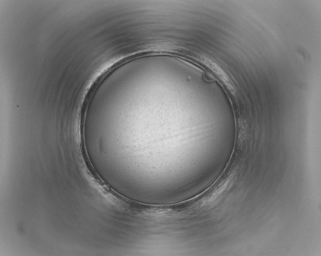X0000115380939200911171432