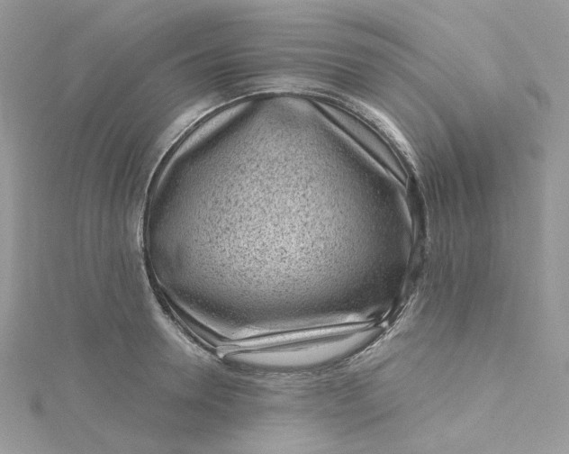 X0000115380946200911171432
