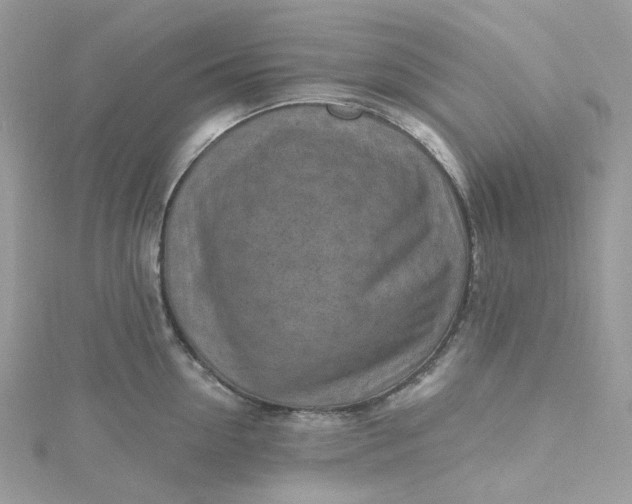 X0000115380954200911171432