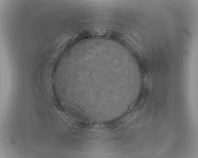 X0000115380961200911171432