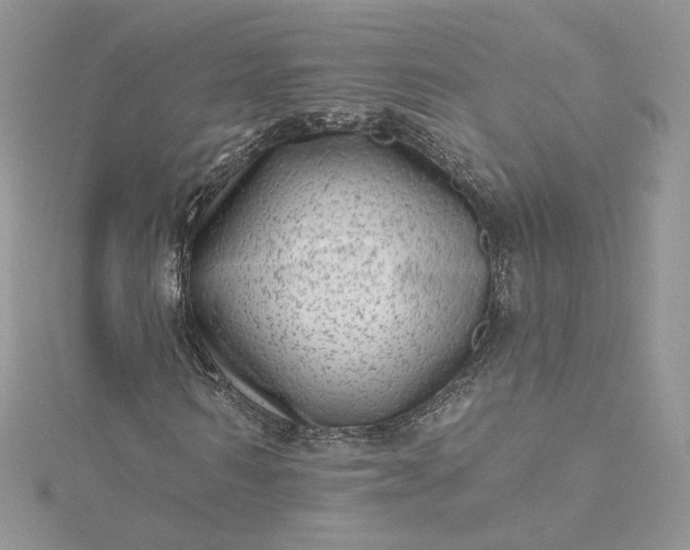 X0000115380962200911171432